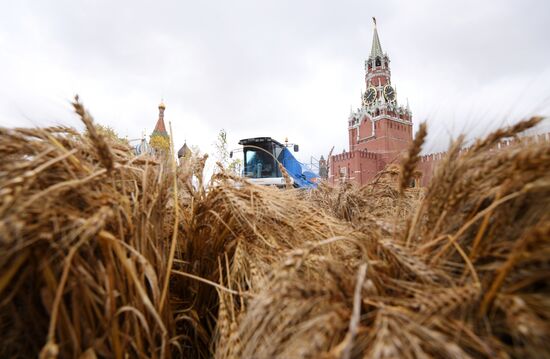Russia Harvest Festival