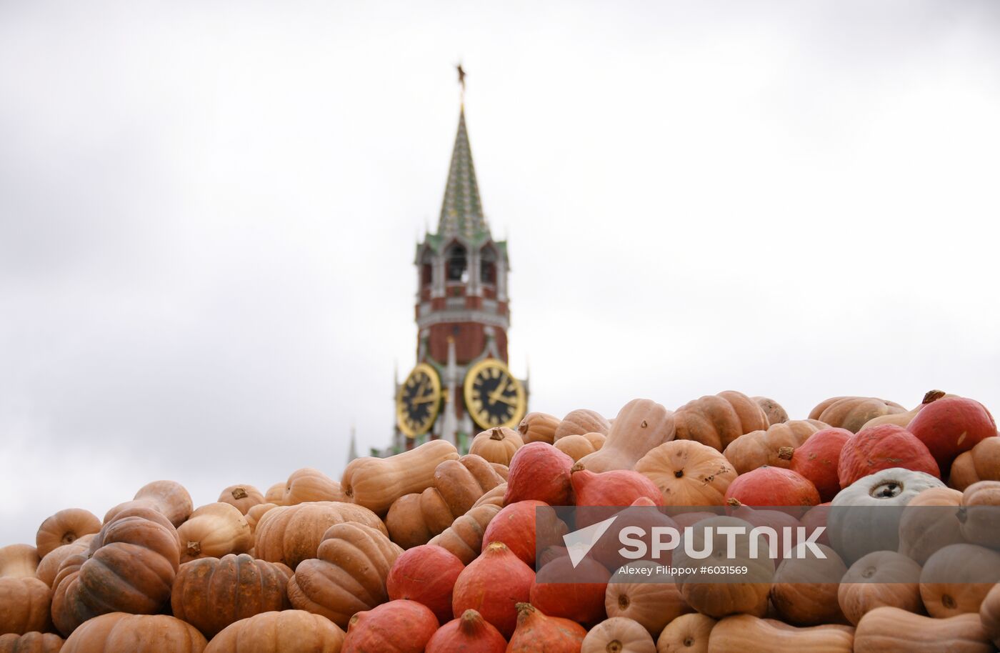 Russia Harvest Festival