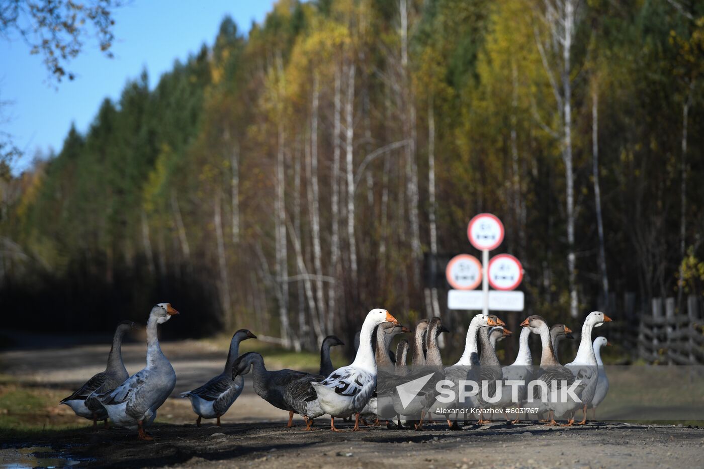 Russia Floods Aftermath