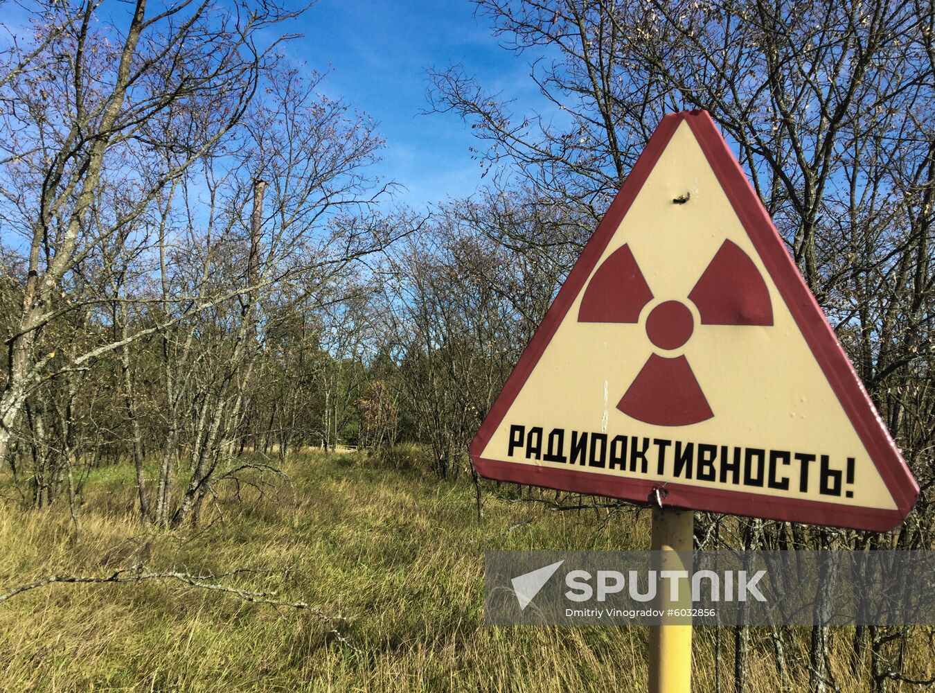 Belarus Radioecological Reserve