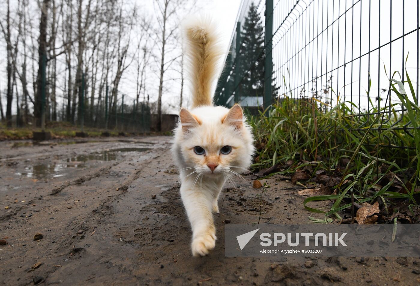 Russia Floods Aftermath