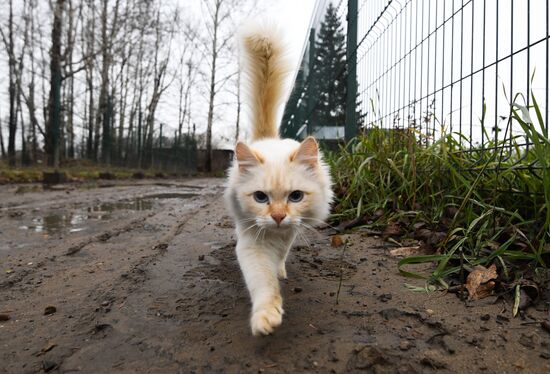 Russia Floods Aftermath