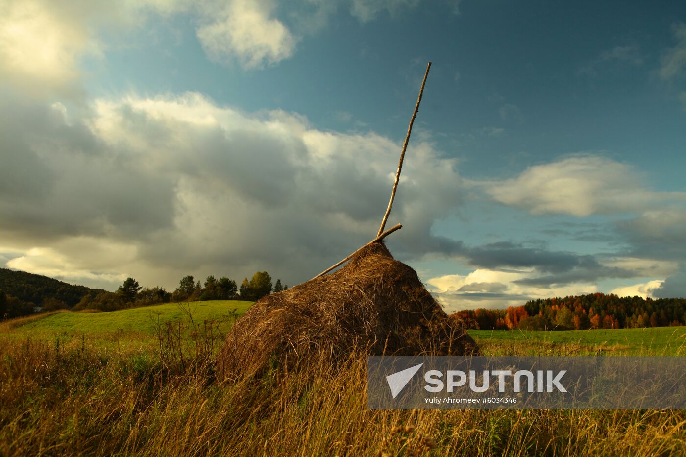 Zekhnovo Village in Arkhangelsk Region