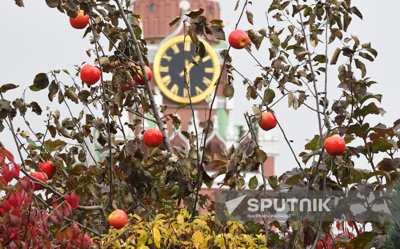 Russia Harvest Festival