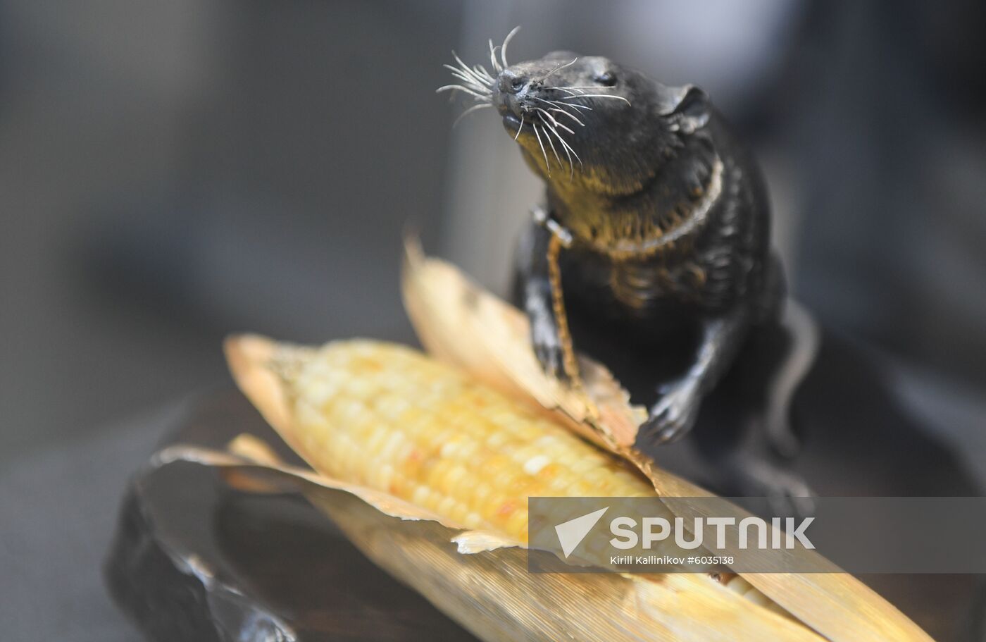 Russia Jewelry Exhibition
