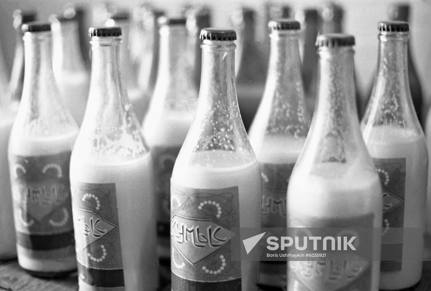 Mare's milk at Yumatovo spa resort