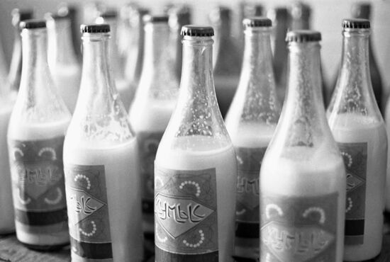 Mare's milk at Yumatovo spa resort