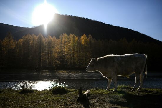 Russia Alygdzher Village