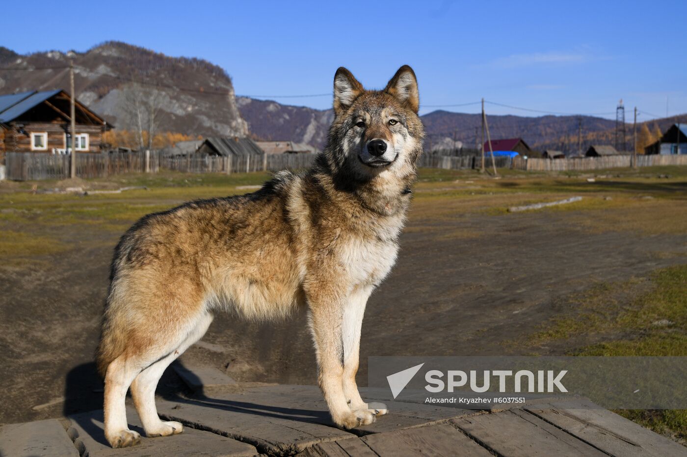Russia Alygdzher Village