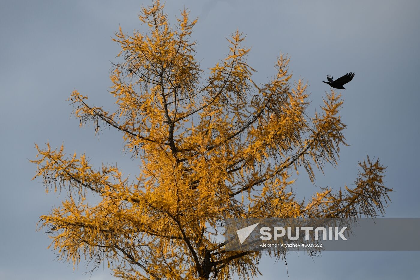 Russia Alygdzher Village