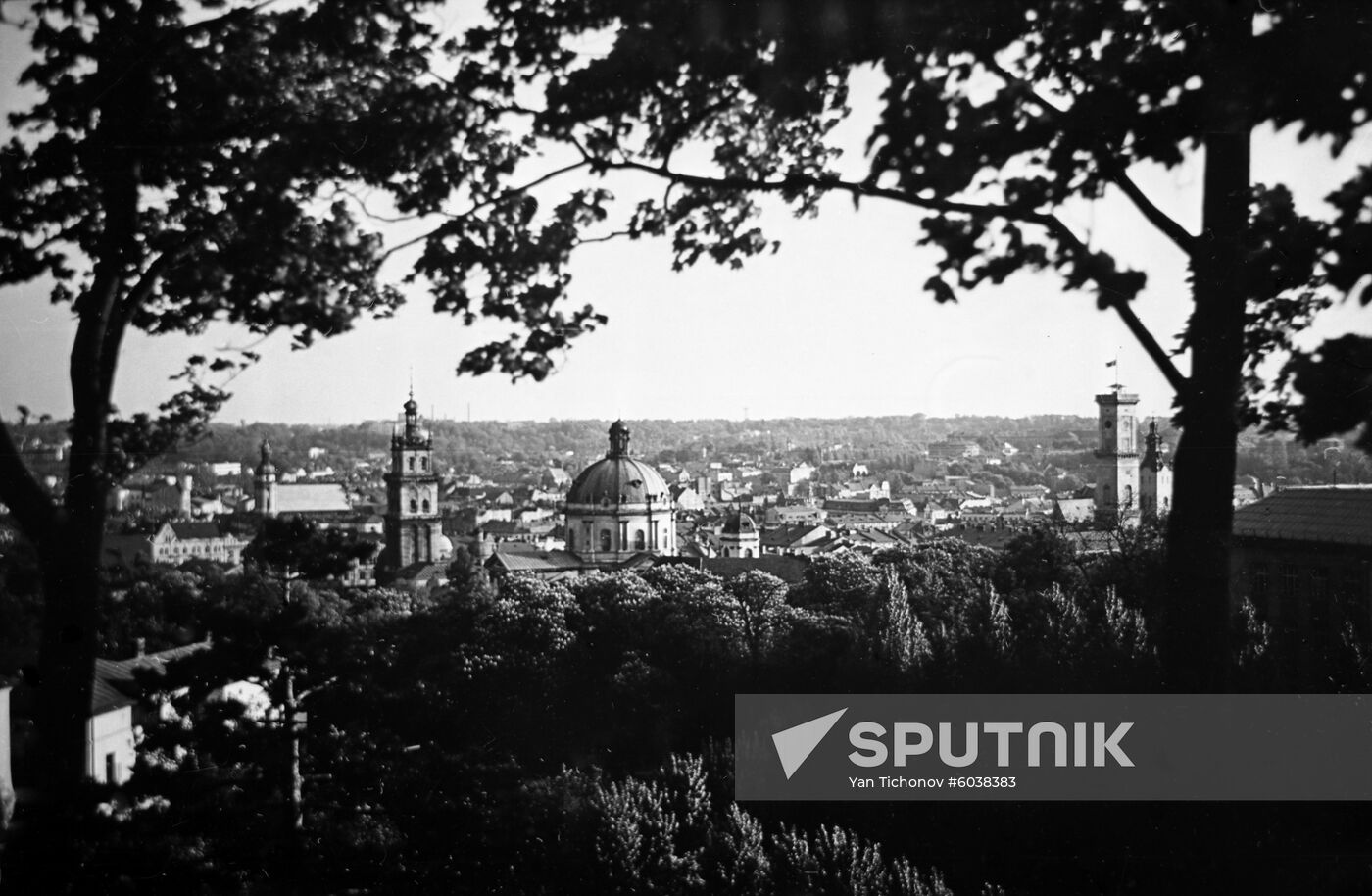 Lvov city