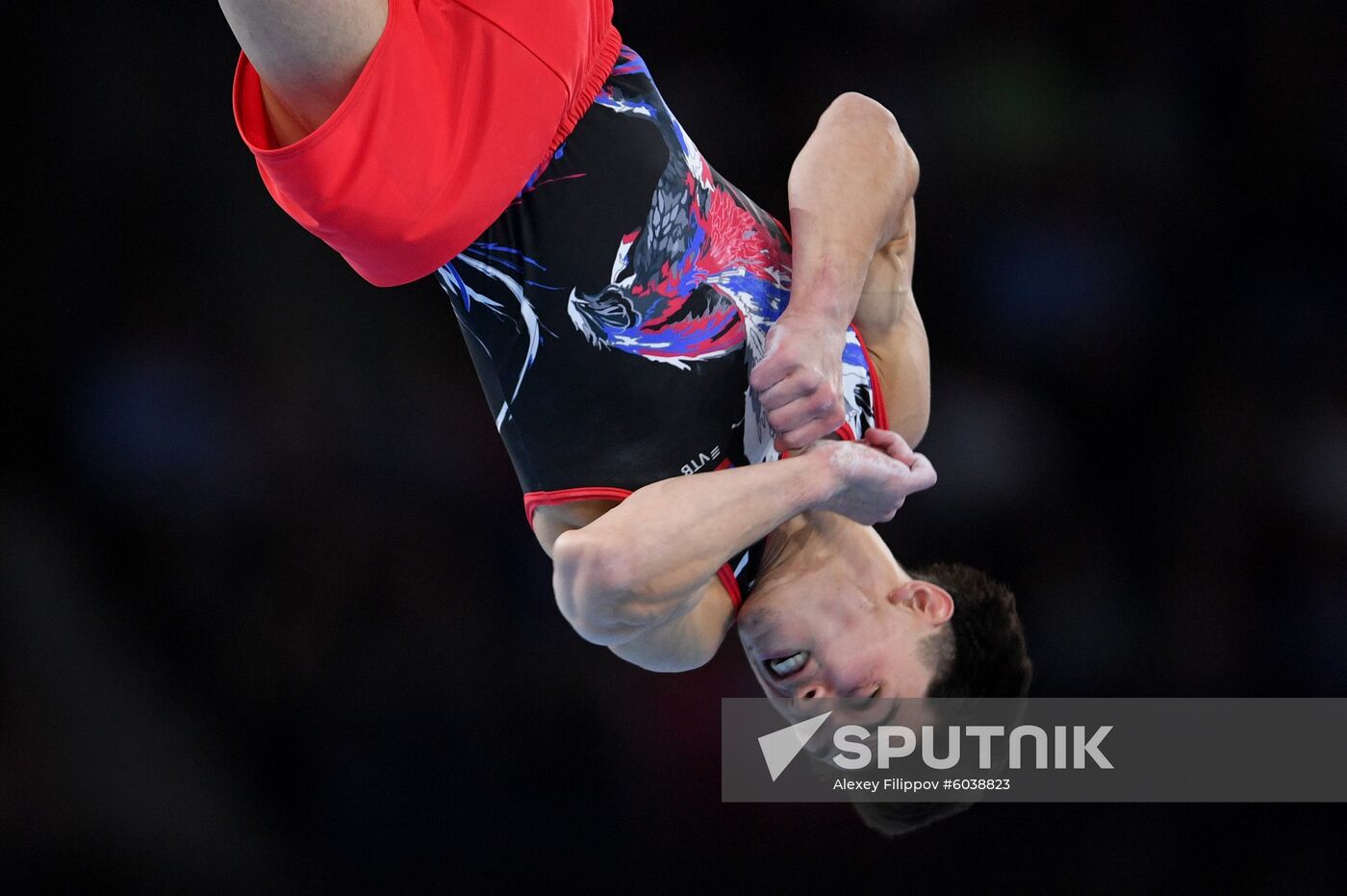 Germany Artistic Gymnastics Worlds