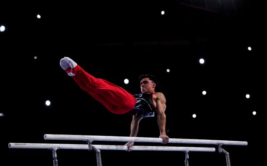 Germany Artistic Gymnastics Worlds