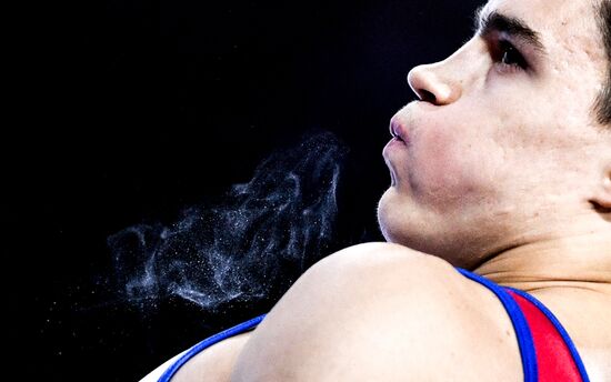 Germany Artistic Gymnastics Worlds