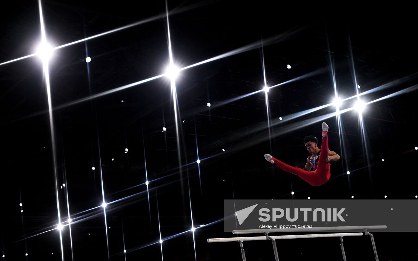 Germany Artistic Gymnastics Worlds