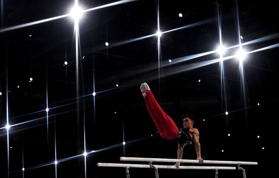 Germany Artistic Gymnastics Worlds