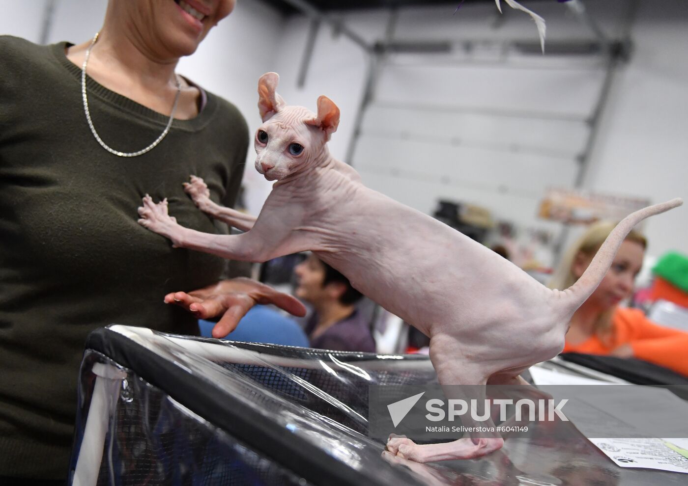 Russia Cats Show