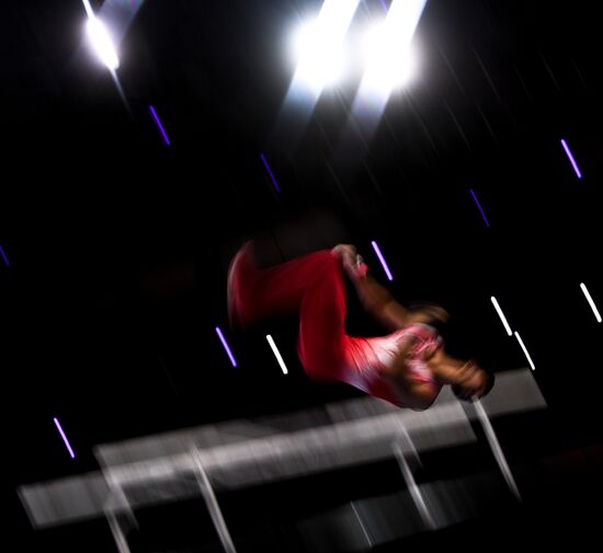 Germany Artistic Gymnastics Worlds