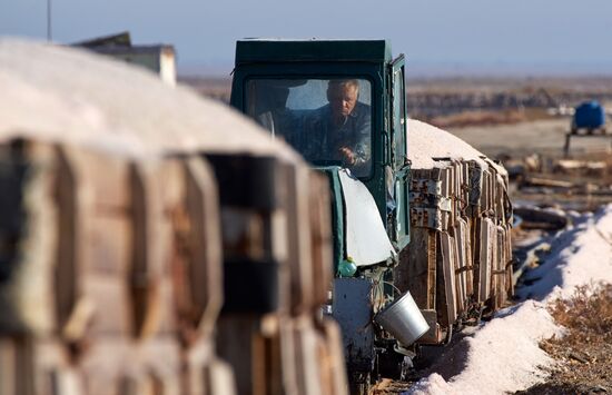 Russia Crimea Salt Harvesting
