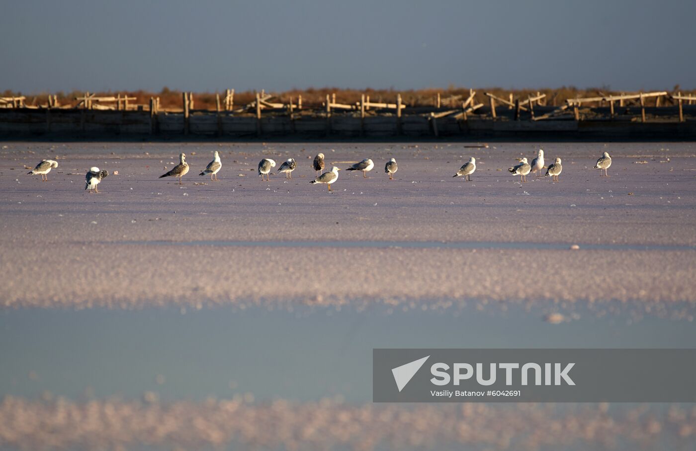 Russia Crimea Salt Harvesting