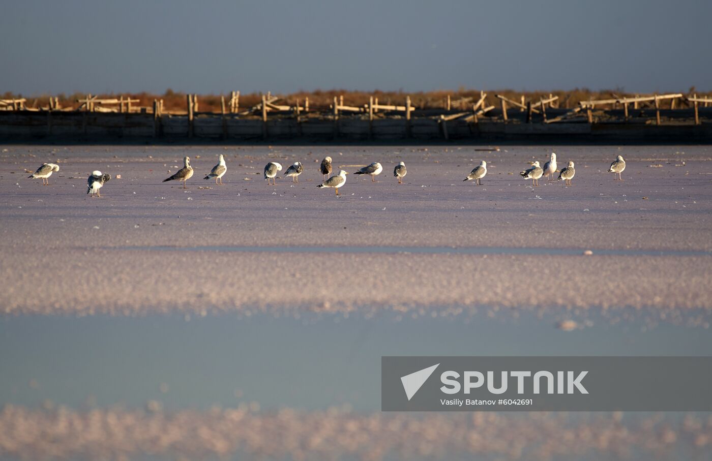 Russia Crimea Salt Harvesting