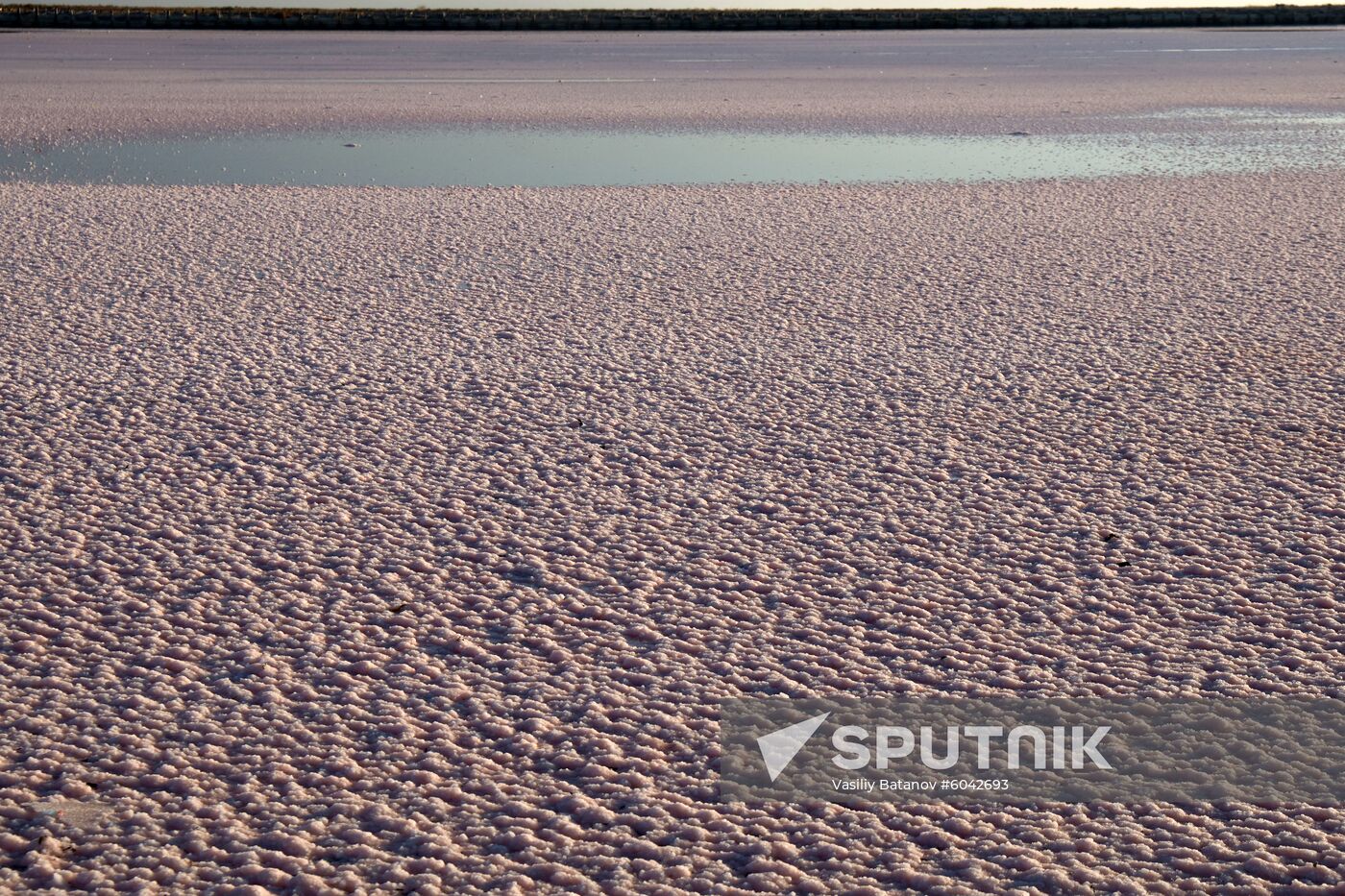 Russia Crimea Salt Harvesting