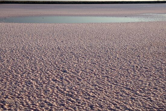 Russia Crimea Salt Harvesting