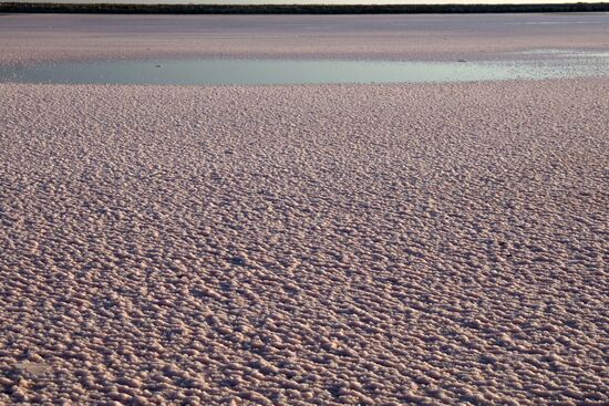 Russia Crimea Salt Harvesting