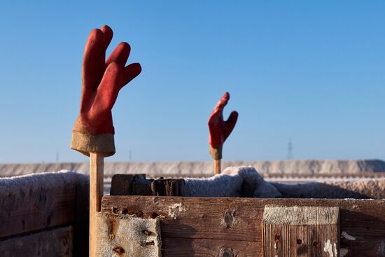 Russia Crimea Salt Harvesting