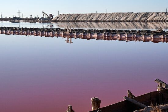 Russia Crimea Salt Harvesting