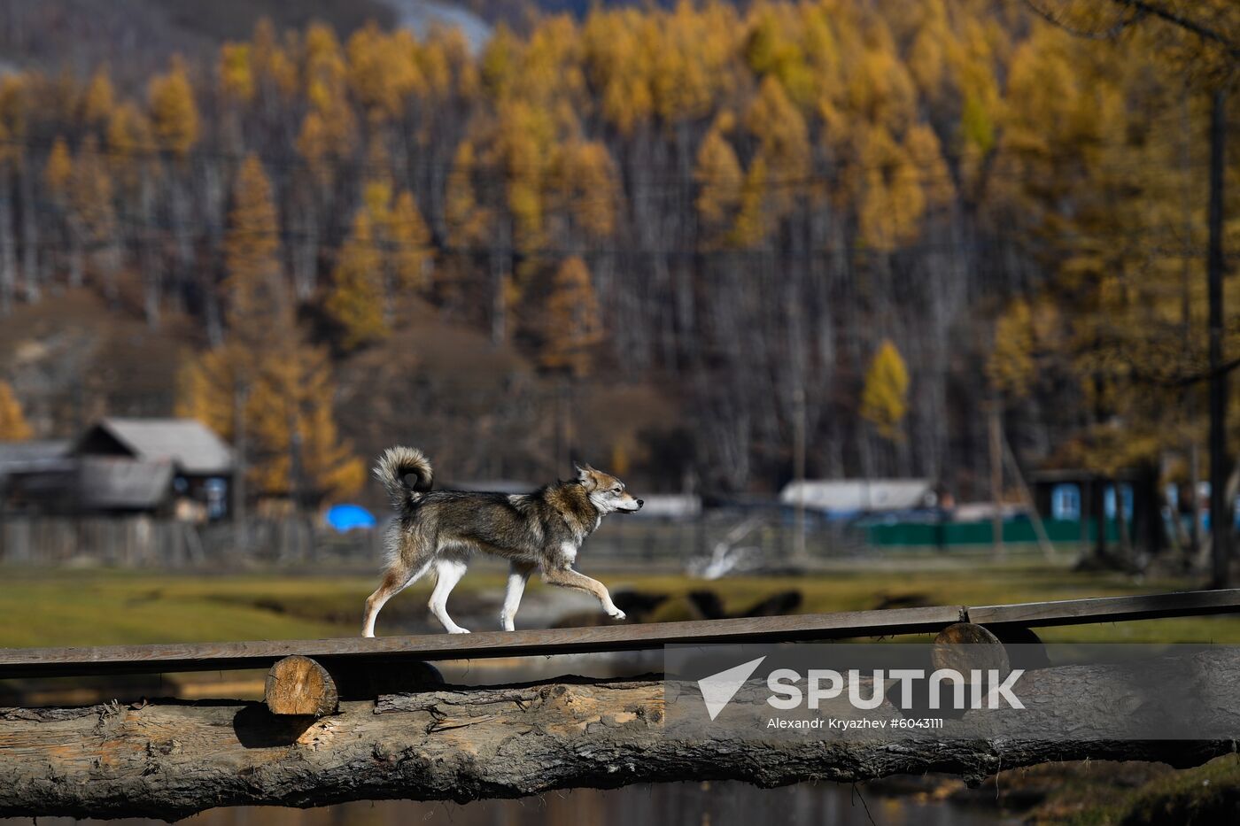 Russia Alygdzher Village