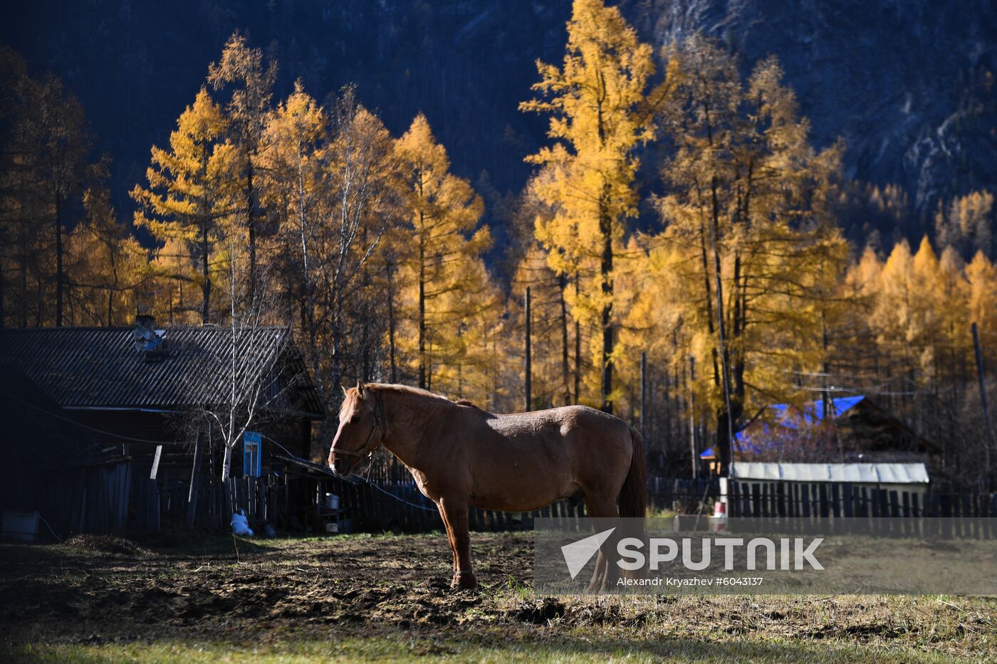 Russia Alygdzher Village