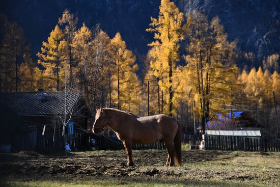 Russia Alygdzher Village