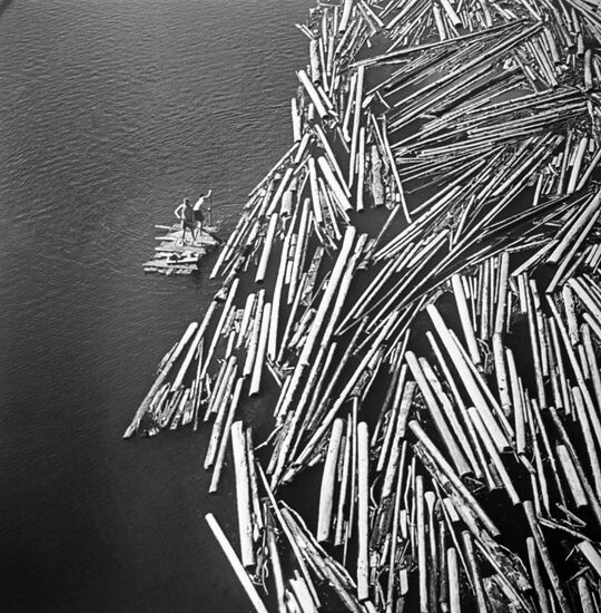 Floating logs down Angara River