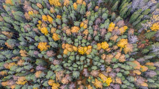 Russia Regions Karelia
