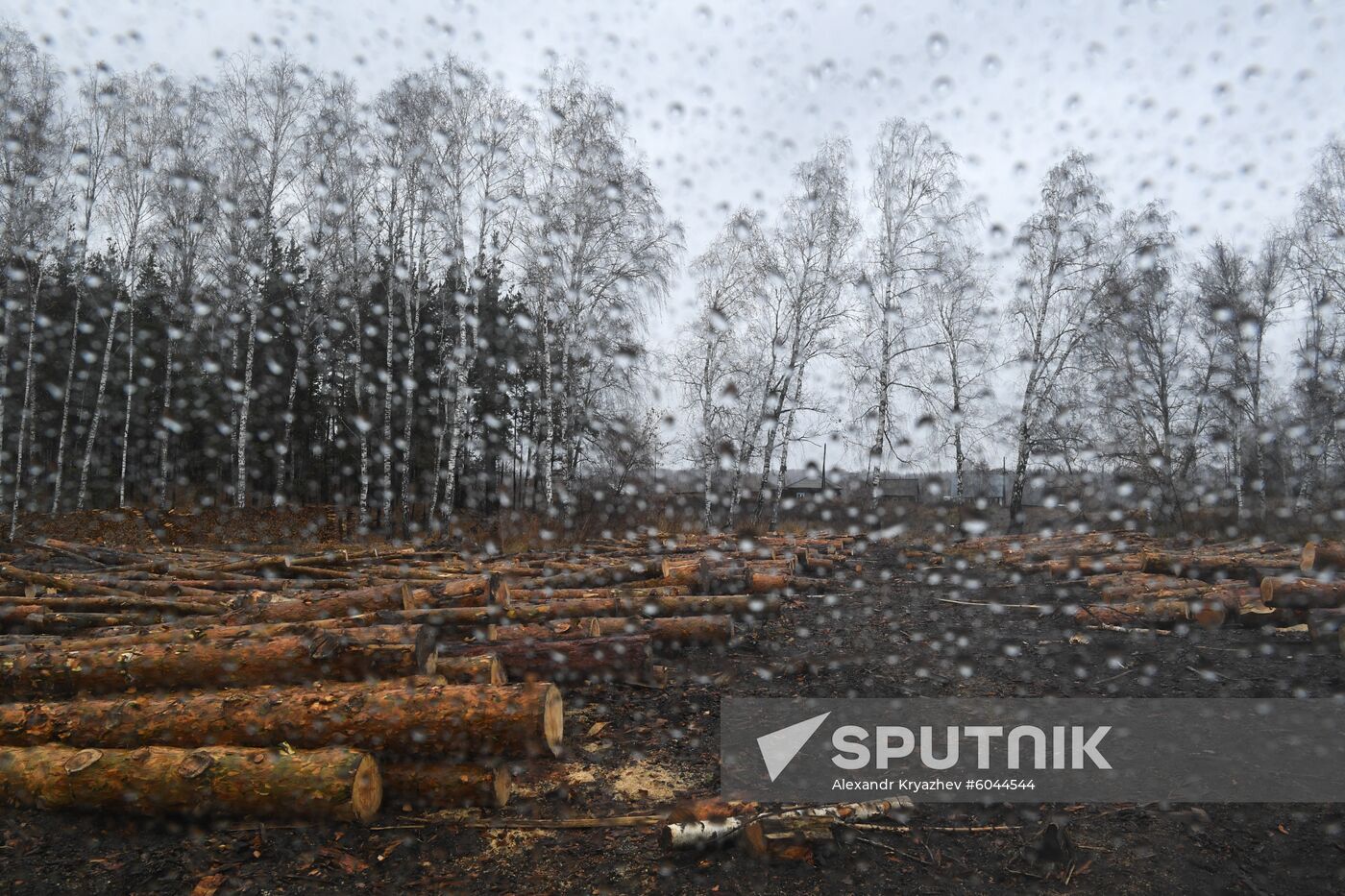 Russia Wood