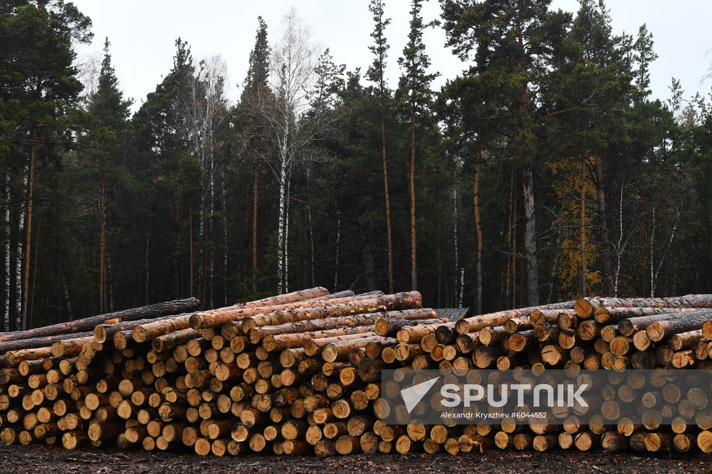 Russia Wood