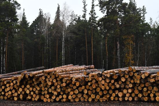 Russia Wood