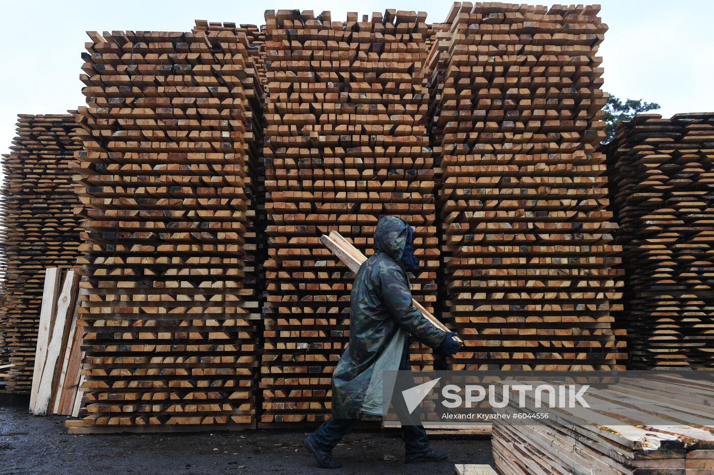 Russia Wood