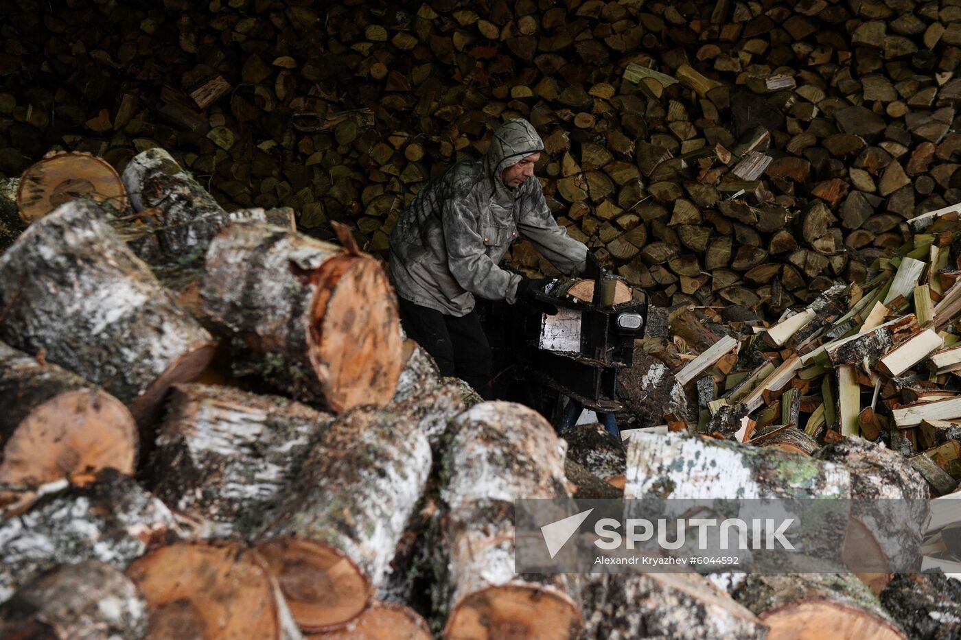 Russia Wood