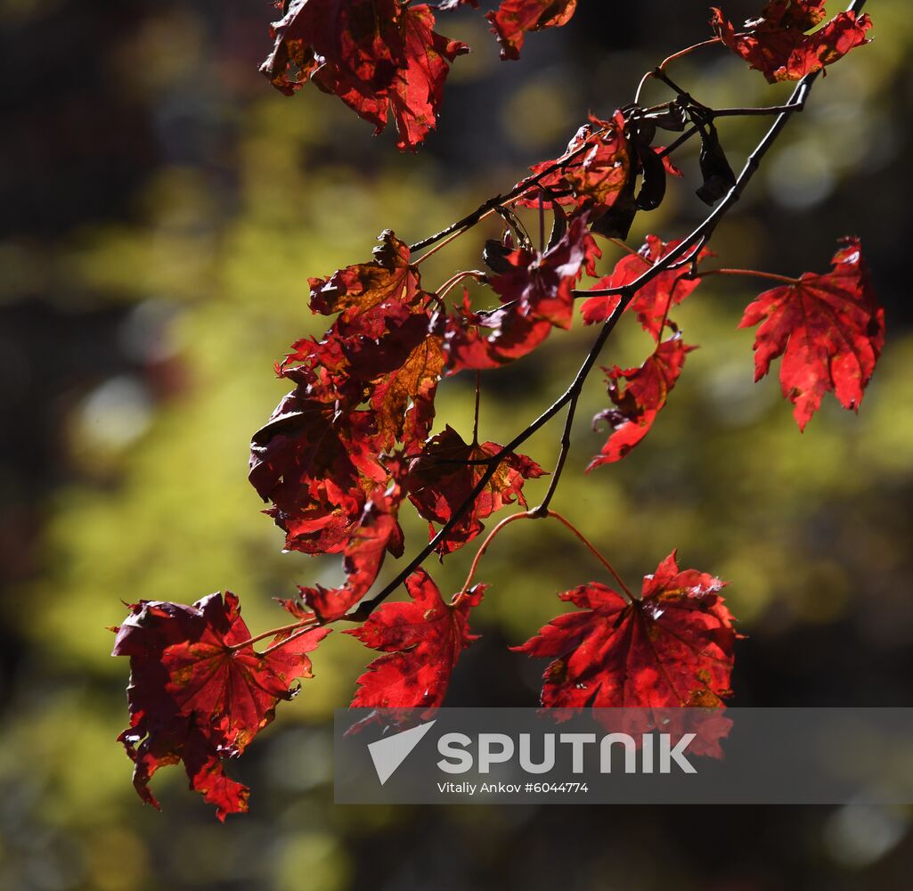 Russia Autumn