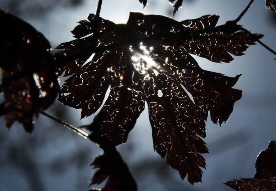 Russia Autumn