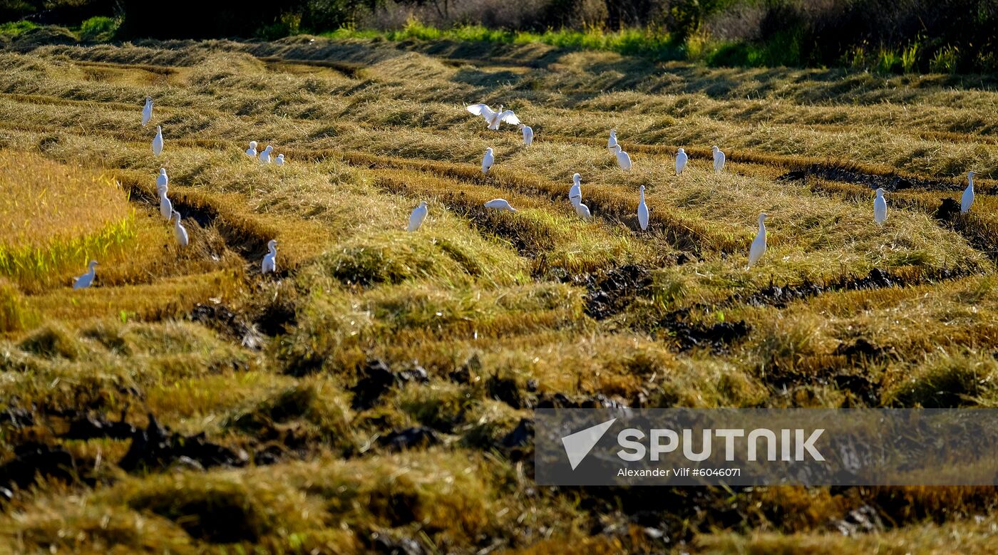 Countries of the world. Portugal