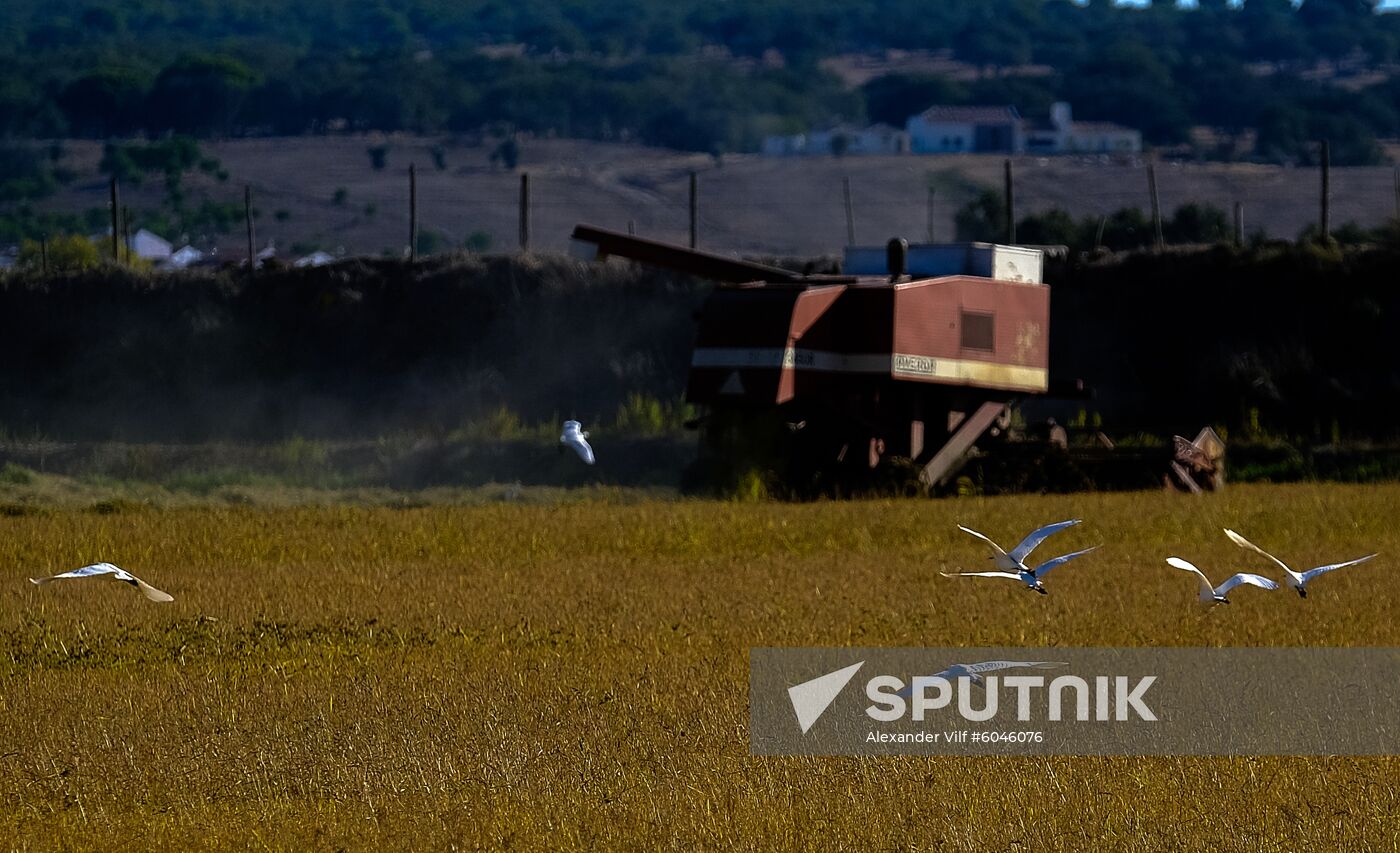 Countries of the world. Portugal