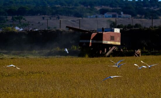 Countries of the world. Portugal