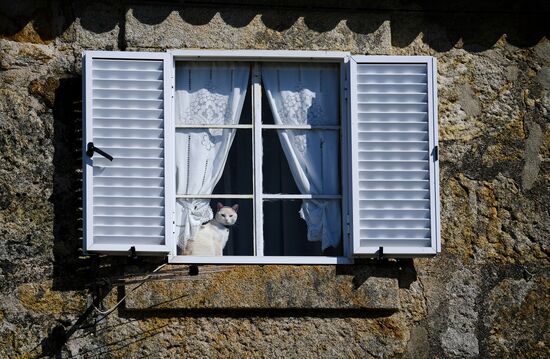 Countries of the world. Portugal