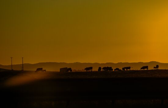 Countries of the world. Portugal