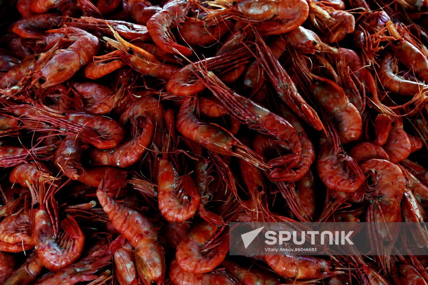 Food market in Vladivostok