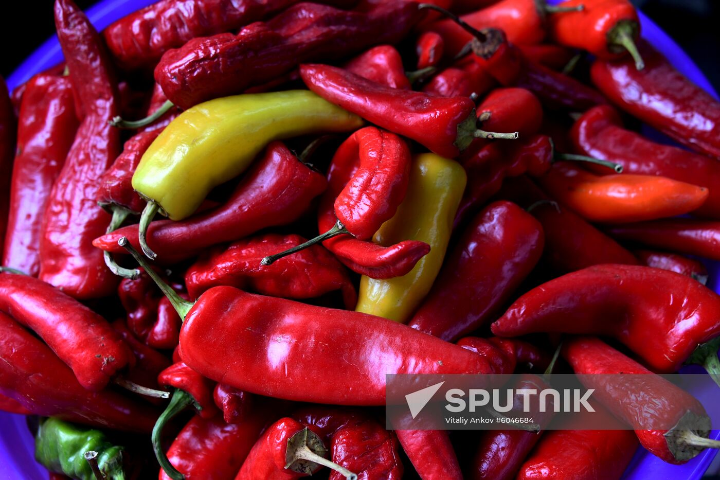 Food market in Vladivostok