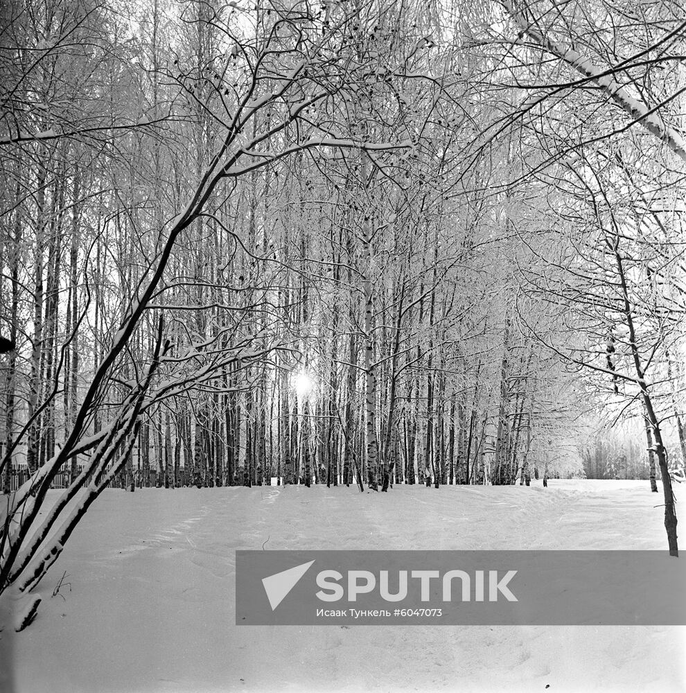 Darwin Nature Reserve in Vologda Region